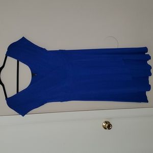 Blue Bird Dress